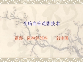 全脑血管造影技术