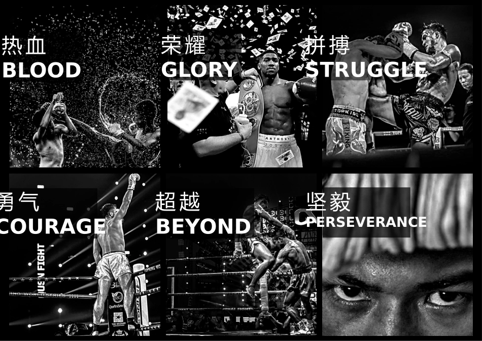 拳胜格斗晋江站招商方案活动汪_第2页