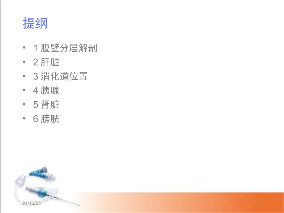 犬腹部解剖课堂_第3页