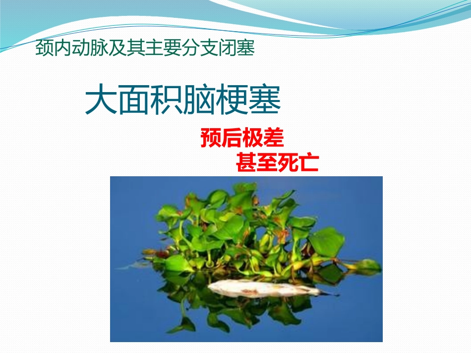 缺血性脑血管病的外科治疗_第3页