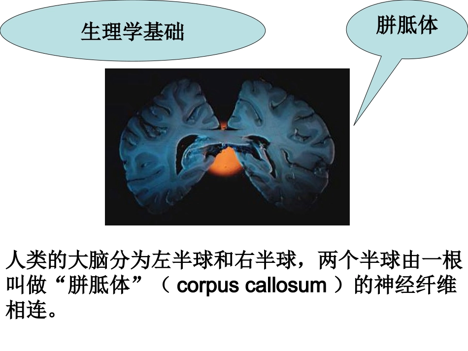 让左右脑协调发展_第2页