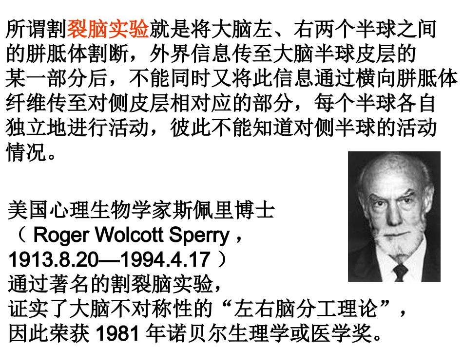 让左右脑协调发展_第3页