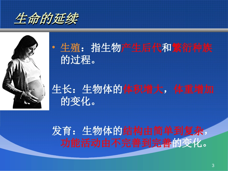人的生殖和发育课件_第3页