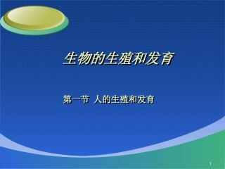 人的生殖和发育课件
