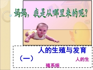 人的生殖和发育一