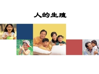 人的生殖说课课件