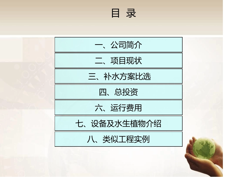 人工湖生态治理方案教材_第2页