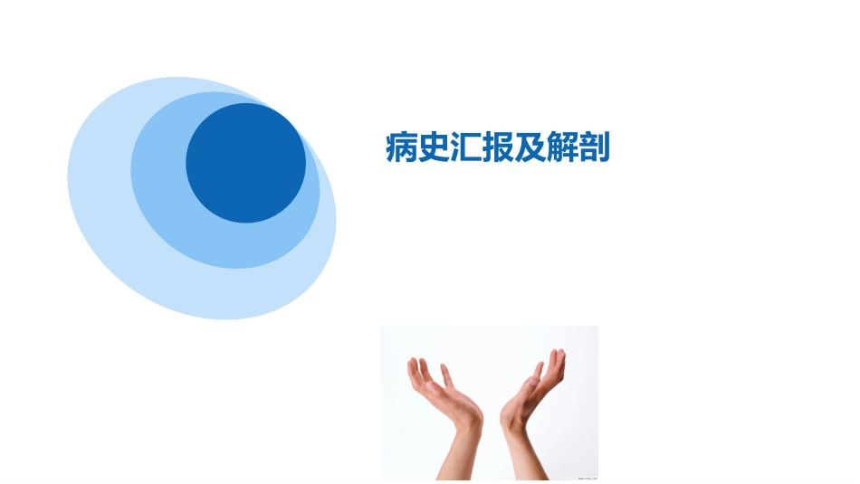 人工髋关节置换护理查房_第3页