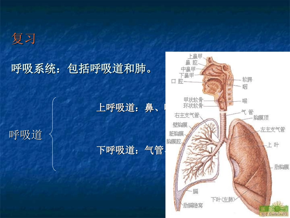 人工气道护理常规_第2页