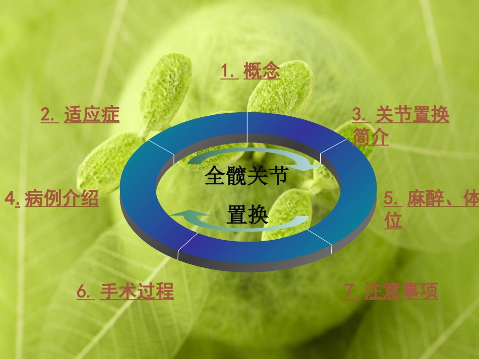 人工全髋关节置换术_第2页