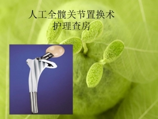 人工全髋关节置换术
