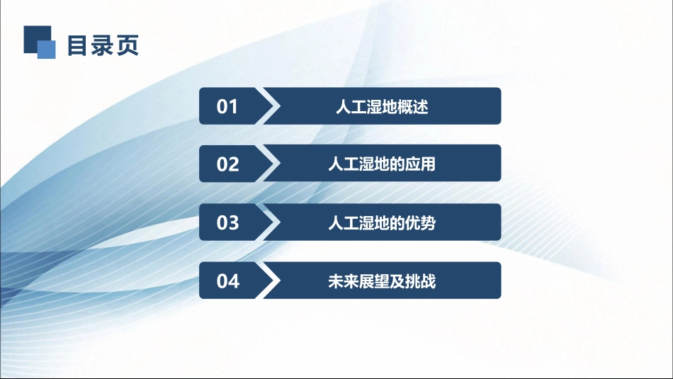 人工湿地的现状和展望_第2页