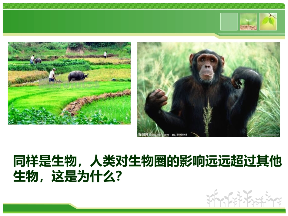 人类活动对生态环境的影响课件_第2页