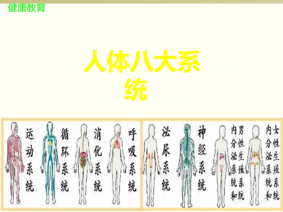 人体八大系统_第2页