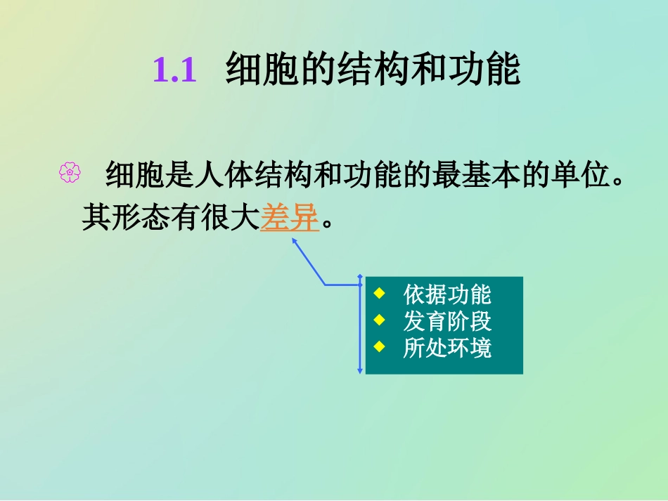 人体基本结构概述_第3页