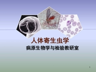 人体寄生虫学总论课件
