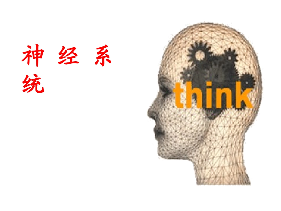 人体健康和疾病神经系统_第1页