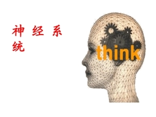 人体健康和疾病神经系统