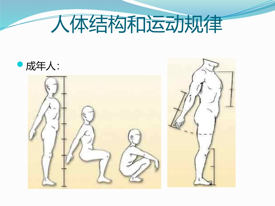 人体结构和运动规律_第3页
