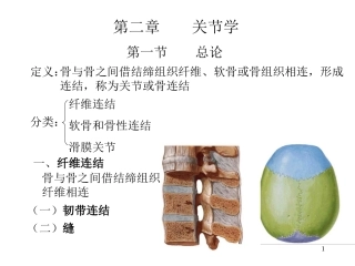 人体解剖学关节学