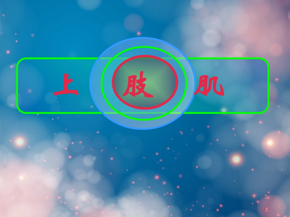 人体解剖学课件上肢肌课件_第3页