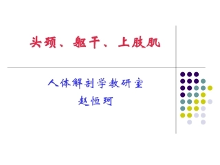人体解剖学课件上肢肌课件