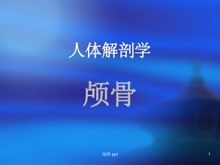 人体解剖学颅骨