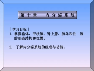 人体解剖学内分泌系统推荐完整