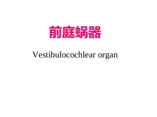 人体解剖学前庭蜗器详解
