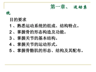 人体解剖学躯干骨解剖解析