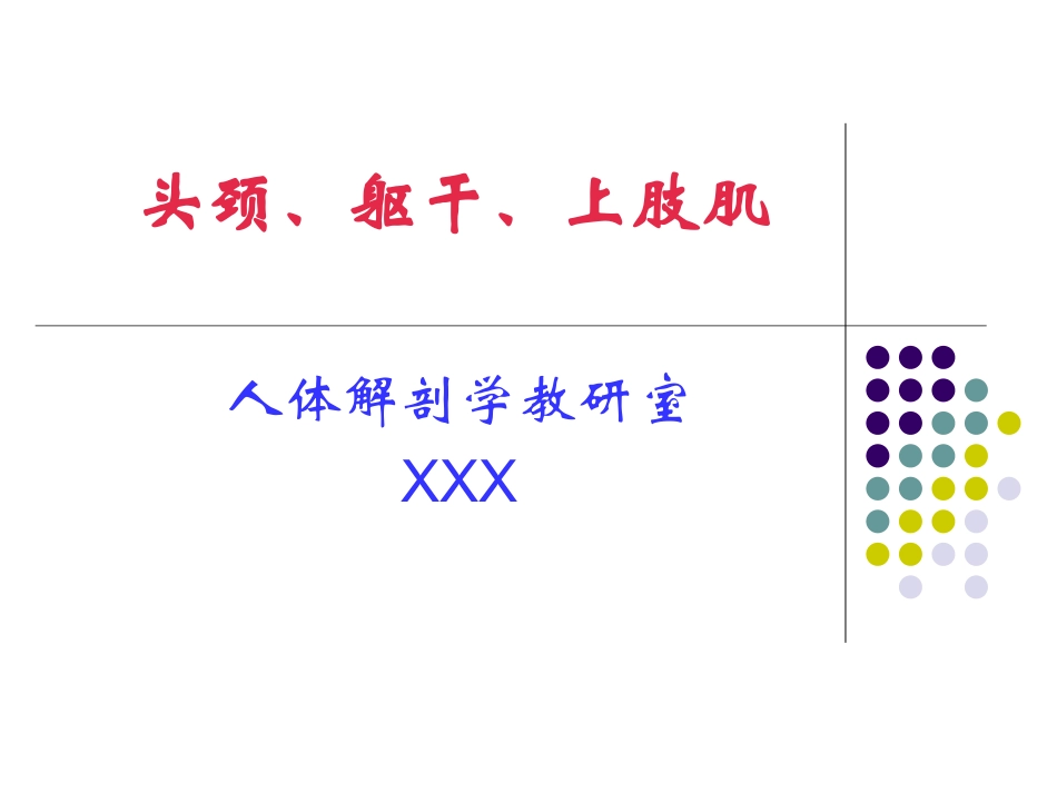 人体解剖学上肢肌_第1页