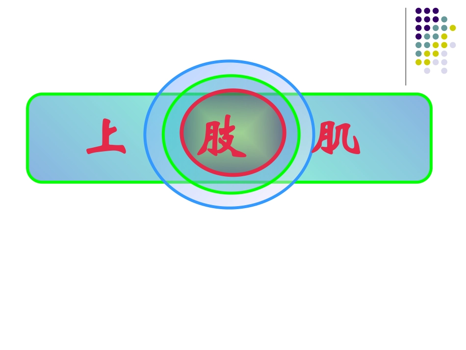 人体解剖学上肢肌_第3页