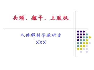人体解剖学上肢肌