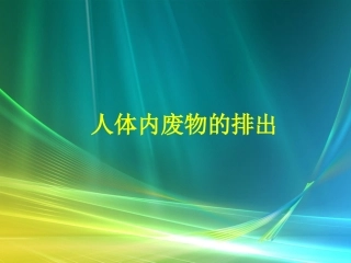 人体内废物的排出课件