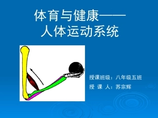 人体运动系统