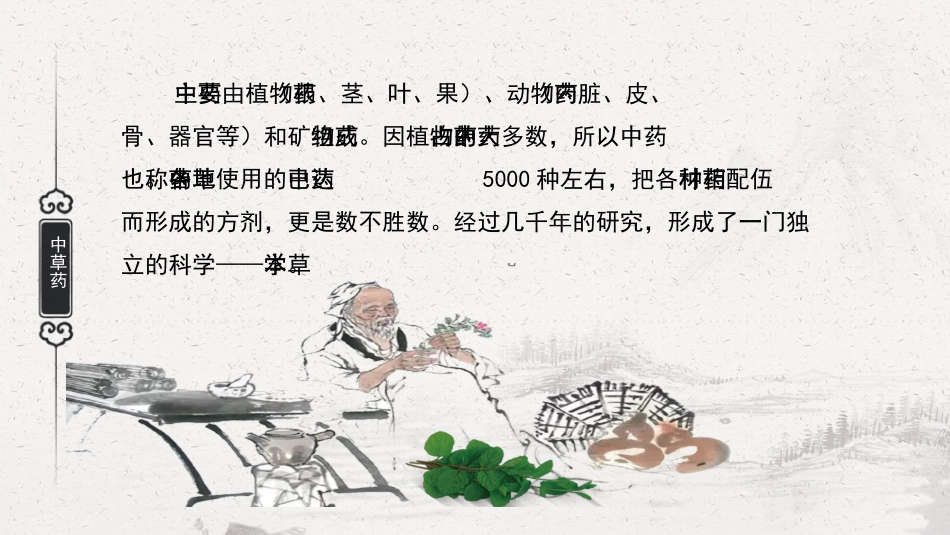 认识常见中草药_第2页