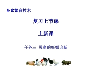 任务三母畜的妊娠诊疗