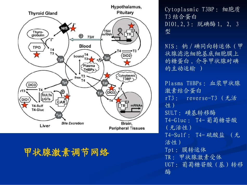 妊娠合并甲减SCH_第2页