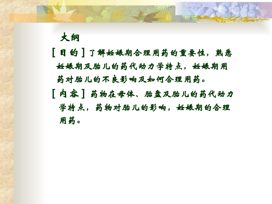 妊娠期的合理用药_第2页