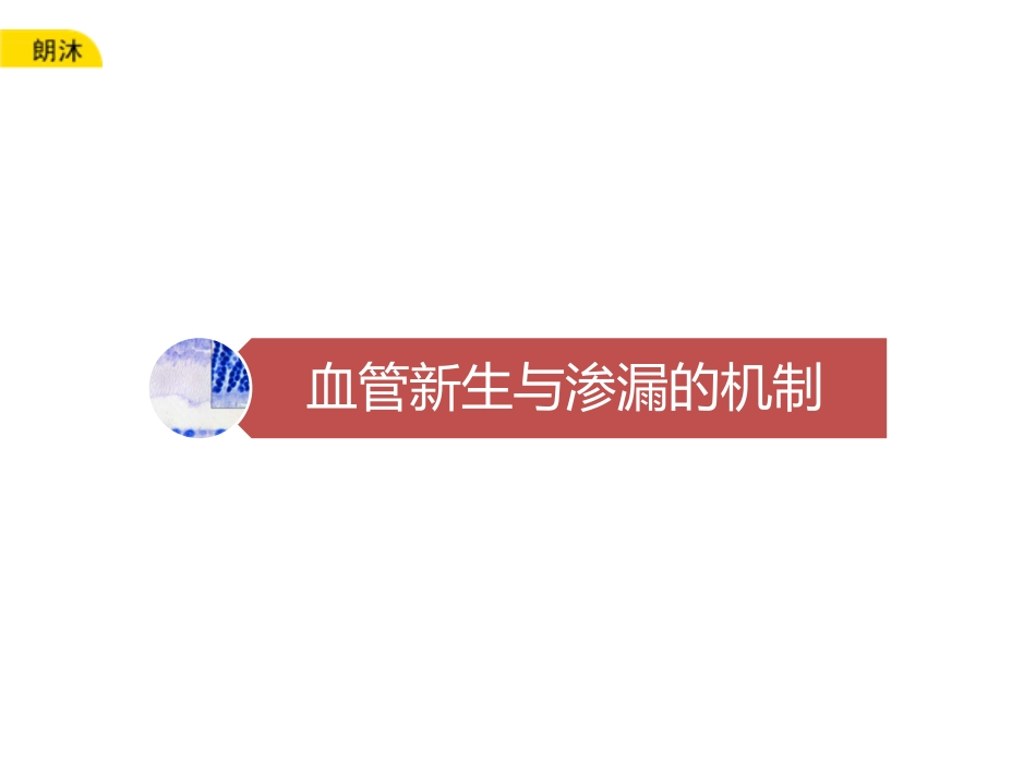 融合蛋白构效和安全性备注_第3页