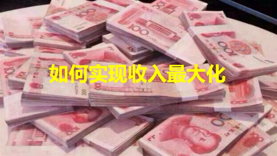 如何实现收入最大化_第1页