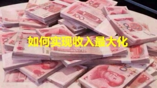 如何实现收入最大化