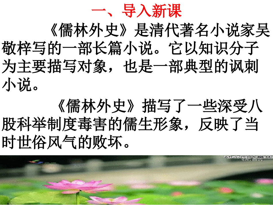 儒林外史优秀课件_第2页