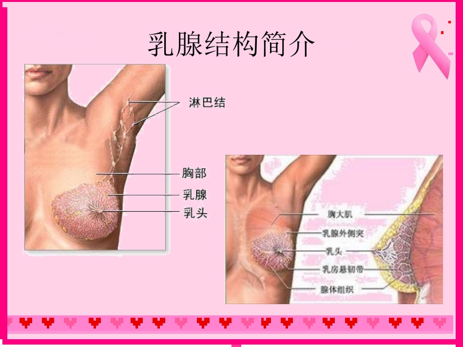乳腺疾病宣教_第3页