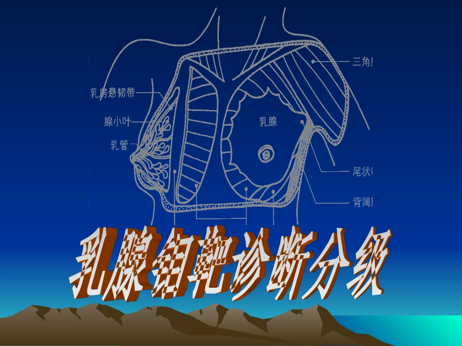 乳腺钼靶诊疗分级标准_第1页