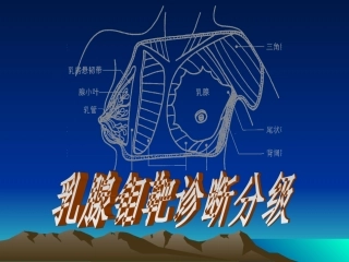 乳腺钼靶诊疗分级标准