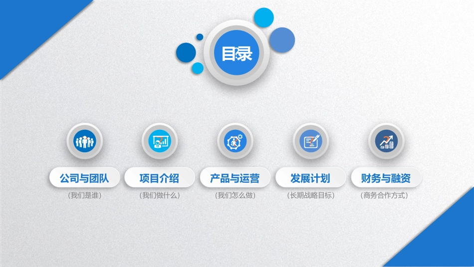 商业融资计划书_第3页