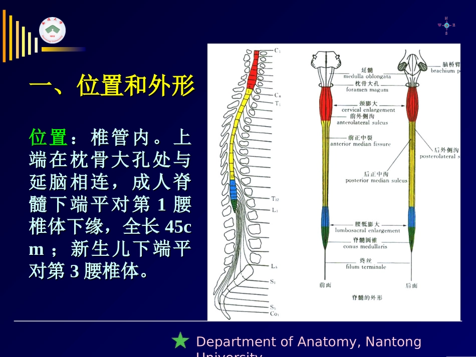 上行纤维束二白质内部结构_第2页