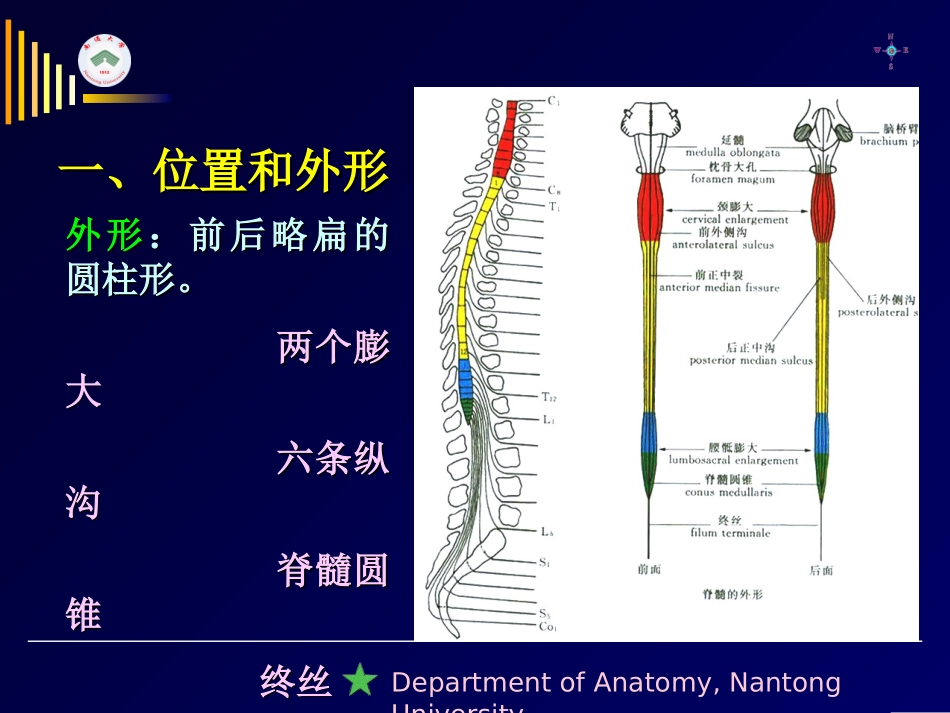 上行纤维束二白质内部结构_第3页