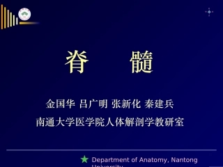 上行纤维束二白质内部结构